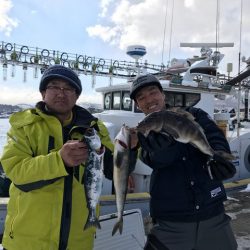 シーランチ 釣果