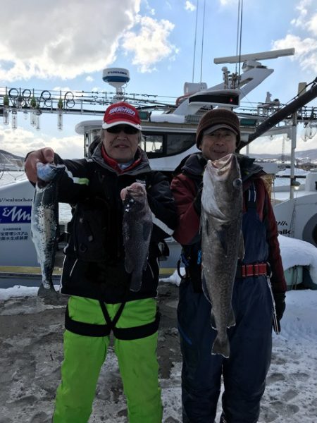 シーランチ 釣果