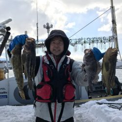 シーランチ 釣果