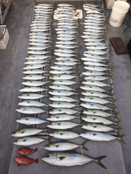 SeaRide(シーライド) 釣果