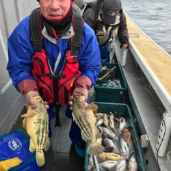 シーランチ 釣果