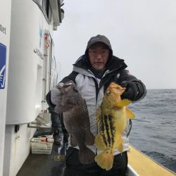 シーランチ 釣果