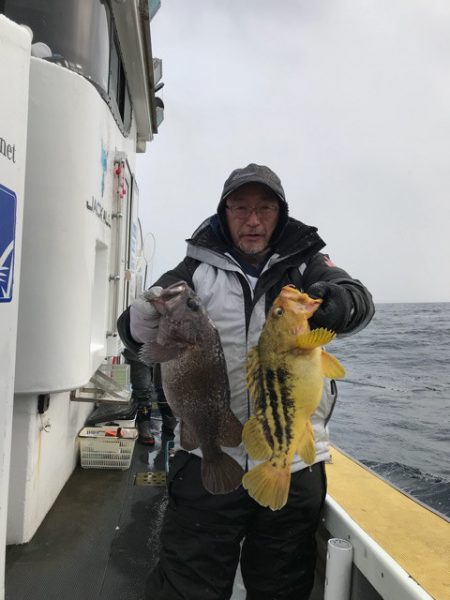 シーランチ 釣果