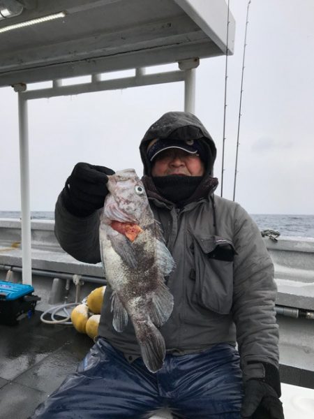 シーランチ 釣果