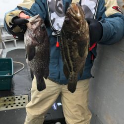 シーランチ 釣果