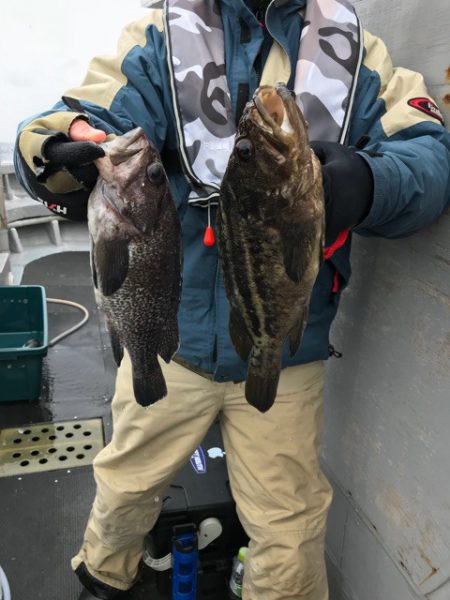 シーランチ 釣果