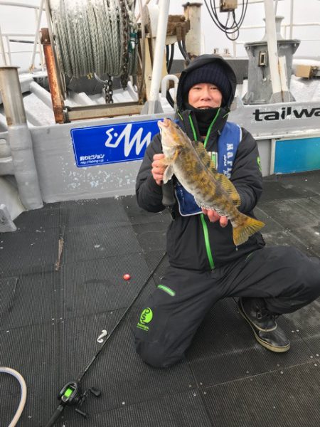 シーランチ 釣果