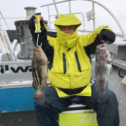 シーランチ 釣果