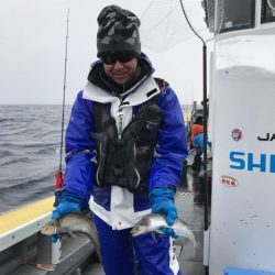 シーランチ 釣果