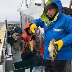 シーランチ 釣果