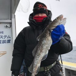 シーランチ 釣果