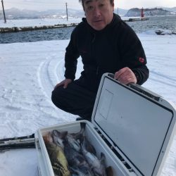 シーランチ 釣果