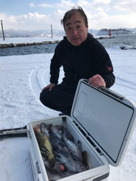 シーランチ 釣果