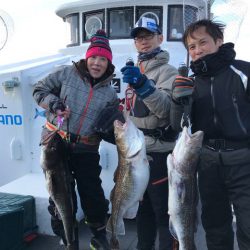 シーランチ 釣果