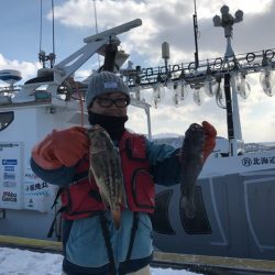 シーランチ 釣果
