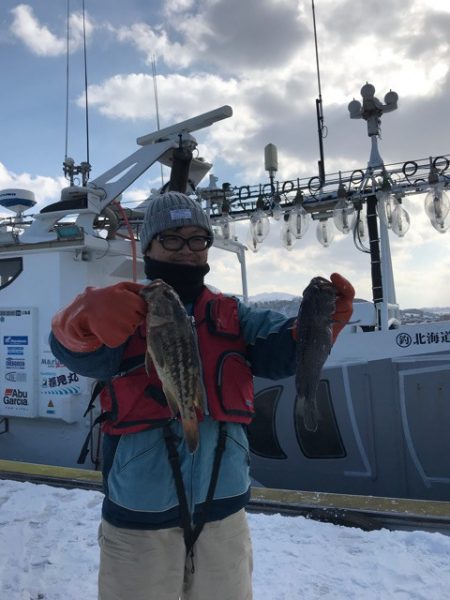 シーランチ 釣果