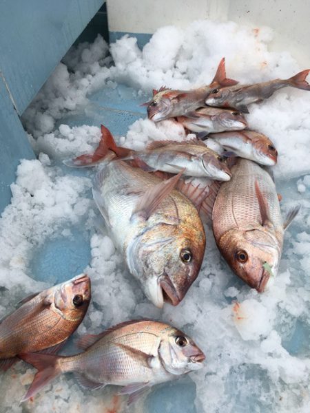 第二八坂丸 釣果