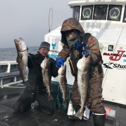 シーランチ 釣果