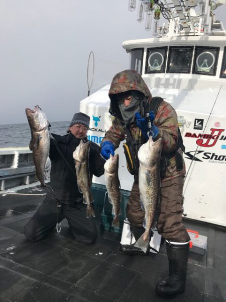 シーランチ 釣果