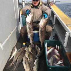 シーランチ 釣果