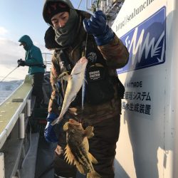 シーランチ 釣果