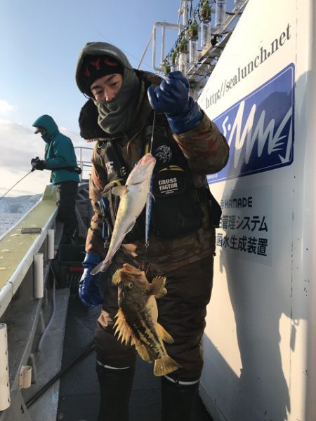 シーランチ 釣果