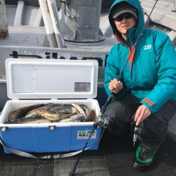 シーランチ 釣果