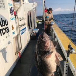 シーランチ 釣果
