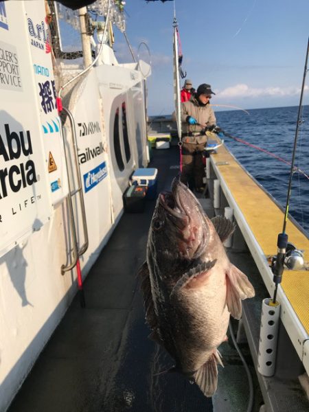 シーランチ 釣果