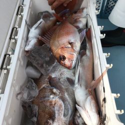 第二八坂丸 釣果