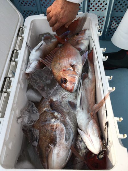 第二八坂丸 釣果