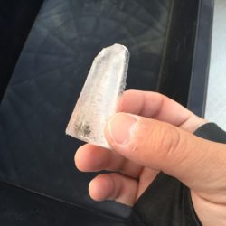 「LaGooN」蒼陽丸 日和号 釣果