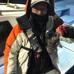 ヤザワ渡船 釣果