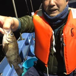 ヤザワ渡船 釣果