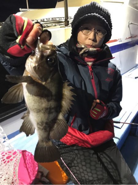 ヤザワ渡船 釣果