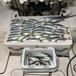 Monster Rush! 釣果