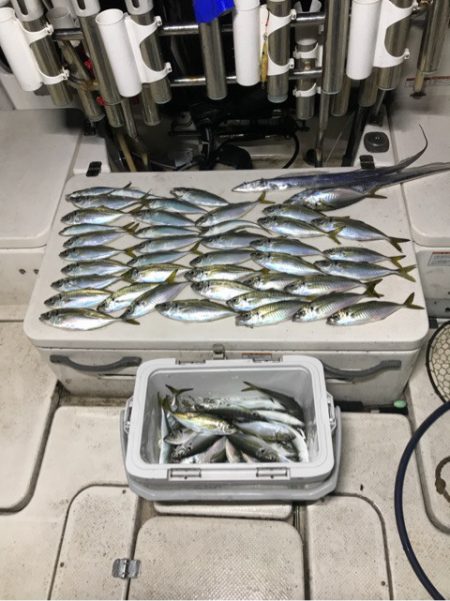 Monster Rush! 釣果