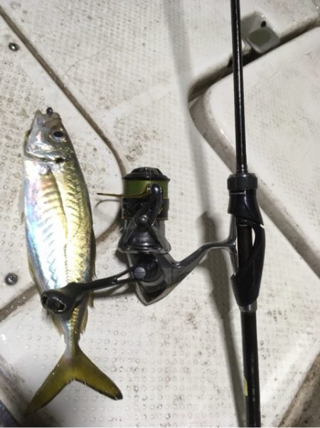 Monster Rush! 釣果