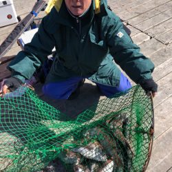 釣り堀水宝 釣果