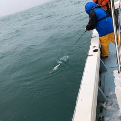 あみや渡船 JIGBOY 釣果