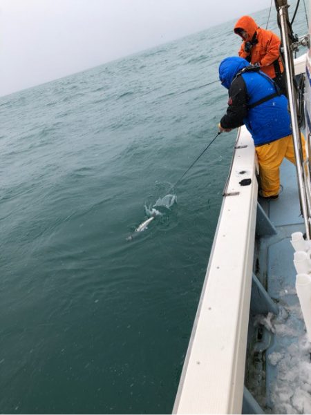あみや渡船 JIGBOY 釣果