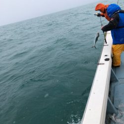 あみや渡船 JIGBOY 釣果