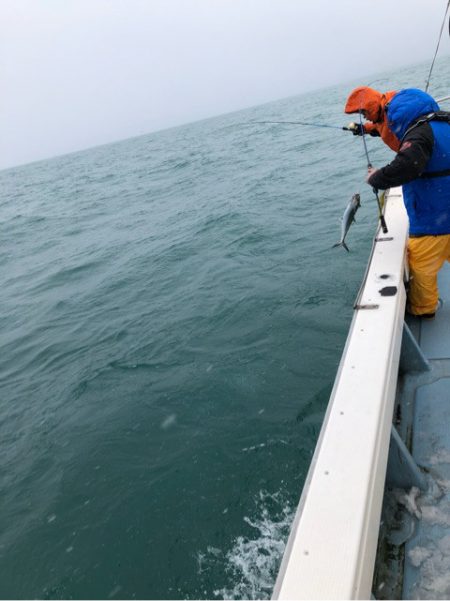 あみや渡船 JIGBOY 釣果