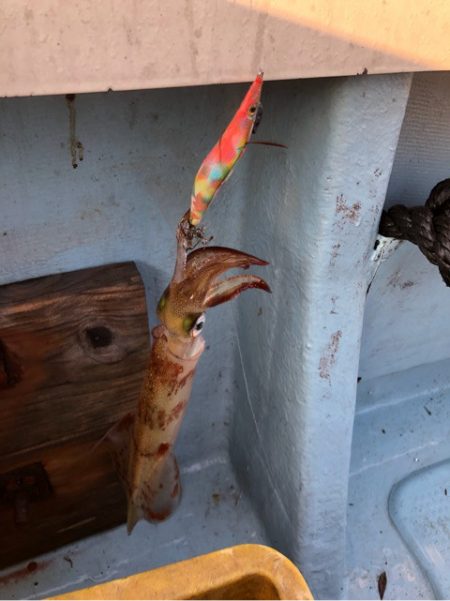 あみや渡船 JIGBOY 釣果