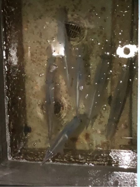 あみや渡船 JIGBOY 釣果