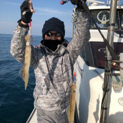 あみや渡船 JIGBOY 釣果