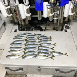 Monster Rush! 釣果