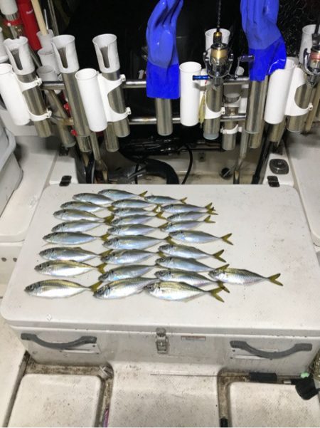 Monster Rush! 釣果