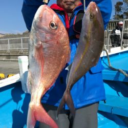 太平丸 釣果