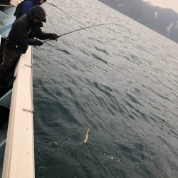 あみや渡船 JIGBOY 釣果